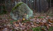 Tour Zu Fuß Hilpoltstein - Eibachgrund - Photo 2