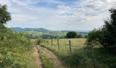 Excursión Senderismo Porte des Pierres Dorées - Jarnioux / 15 km - Photo 11