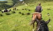 Trail Horseback riding Auritz - 2023 R2 J1 - Photo 14