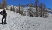 Randonnée Raquettes à neige Allos - lac d'Allos - Photo 1