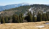 Trail On foot Gemeinde Spital am Semmering - Steinhaus - Kampalpe - Photo 10