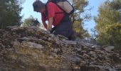 Trail Walking Le Revest-les-Eaux - le Revest le Grand Cap - Photo 1