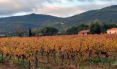 Tocht Stappen Puget-Ville - SityTrail - Terre blanche et tour du Faucon départ de Puget ville  - Photo 3