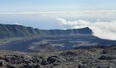 Tocht Stappen Sainte-Rose - Piton de la Fournaise (cratère Dolomieu) - Piton Partage - Photo 9