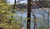 Tour Wandern Weismes - Balade de rêve 17 - Du lac aux sources de Quareu - Photo 3