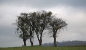 Tocht Te voet Comblain-au-Pont - CB08 Fraiture - Rouvreux - Martinrive - Halleux - Oneux - Photo 6