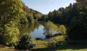 Randonnée Marche Saint-Maurice-sur-Moselle - Rouge Gazon - Lacs des Perches et du Neuweiher - Col des Charbonniers  - Photo 13