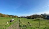 Tour Wandern Yvoir - Entre Meuse et Bocq, départ de Mont - Photo 14