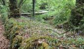 Trail Walking Pluneret - PR_56_Pluneret_BA_02_Vallon-Du-Leran_Circuit1b_20220504 - Photo 1