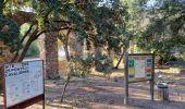 Excursión Senderismo Roquebrune-sur-Argens - Circuit de l'eau Les Cavalières, La Maurette - Photo 4