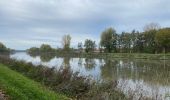 Tour Wandern Warneton - Warneton 10,6 km - Photo 10