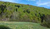 Randonnée Marche Arvière-en-Valromey - SUR LYAND NORD via corniche & balcon Valromey et GR9 - Photo 4