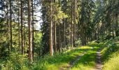 Tocht Stappen Gedinne - Balade à Bourseigne-Neuve - Gedinne - Photo 4