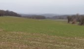 Trail Walking Doische - Matagne la petite120321 - Photo 1