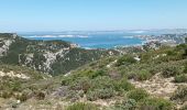 Trail Walking Marseille - Marseilleveyre-sommet-1105-22 - Photo 6