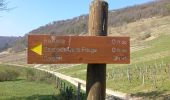 Randonnée Marche Cerdon - Le cerdon parr le drapeau  - Photo 14