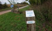 Trail Walking Limours - Essonne_Tour_des_Fermes_de_la_Prédecelle - Photo 16