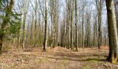 Trail On foot Libramont-Chevigny - Remagne étang gpx - Photo 1