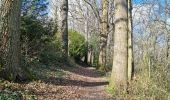 Trail Walking Saint-Ouen - Saint-Ouen - Découverte - Photo 4