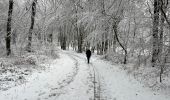 Percorso Marcia Esneux - Bois d’Esneux sous la neige - Photo 2