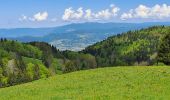 Tour Wandern Saint-François-de-Sales - la plate 20-05-24 - Photo 1