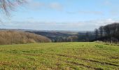 Excursión Senderismo Anhée - 2020-01-16 Maredsous 21 km - Photo 19