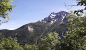 Randonnée Marche Freissinières - Fressiniere  les Roberts  Lac de la Lauze - Photo 17