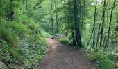 Trail Walking Anderlues - Balade Lobbes-Thuin-Anderlues  - Photo 15