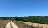 Trail Electric bike Plazac - Sensei Lissac - Photo 2
