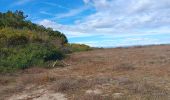 Randonnée Marche Argelès-sur-Mer - mas larrieu - argeles / l hiver - Photo 17