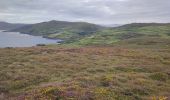 Tour Wandern West Cork - Dursey Sound - Allihies beach - Photo 8