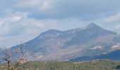 Excursión Senderismo Aiglun - AIGLUN.  Le vieil Aiglun , sommet du Puy o l s - Photo 7