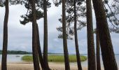 Randonnée V.T.C. Sanguinet - Sanguinet - Bords du Lac - Photo 4