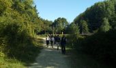 Trail Walking Lisses - Le marais de Lisse - Photo 5