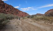 Tocht Stappen Unknown - 2024 Vermillon Cliffs Edmaiers trail - Photo 6