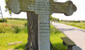 Tour Zu Fuß Wetterzeube - Geopfad Droyßiger Zeitzer Forst - Photo 4