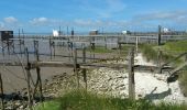 Excursión Bicicleta híbrida Cozes - 20190530 Cozes Royan - Photo 10