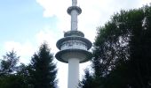 Tour Zu Fuß Siegbach - Wanderweg E15 / Schlossbergweg - Photo 8