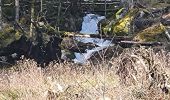 Randonnée Marche Rimbach-près-Masevaux - Rimbach - lacs du Neuweiher et des Perches par Rouge Gazon - Photo 1