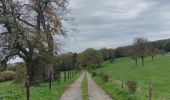 Trail Walking Blegny - A travers les champs de Blegny et ses environs  - Photo 11