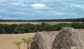 Tour Wandern Chissay-en-Touraine - Chissay-en-Touraine - Zig zag Beaune les Durdents - 18.2km 330m 3h50 - 2024 08 14 - Photo 10