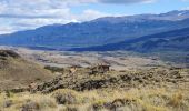 Tour Wandern Cochrane - Lago de Cisne - Photo 10