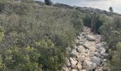 Trail Walking Roquevaire - Garlaban  - Photo 5