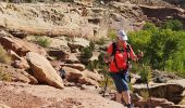 Tocht Stappen Unknown - 2024 Capitol Reef Hickman Bridge - Photo 15