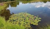 Trail Walking Beulotte-Saint-Laurent - Beulotte St Laurent - le plateau des Mille Etangs - Photo 15