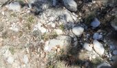 Trail Walking Le Brusquet - LE MOUSTEIRET. Ruine Chalvet .Col de l Escuichiere . Le Villard o m s  - Photo 1