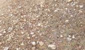 Trail Walking Saint-Cannat - l étape. cricri.... - Photo 1
