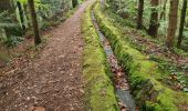 Trail Walking Romanswiller - Heidenschloss - Cascade Mencke via Bischofslaeger - Photo 14