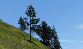 Randonnée Marche Châtillon-en-Diois - Les Cabanes de Châtillon (Glandasse) - Photo 18