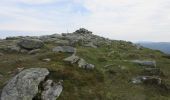 Trail On foot Unknown - Corrie Fee Trail - Photo 2